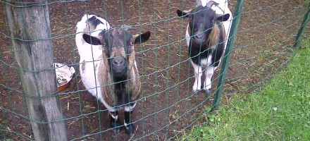 “Farm to Farm” dans les Coteaux du Lyonnais
