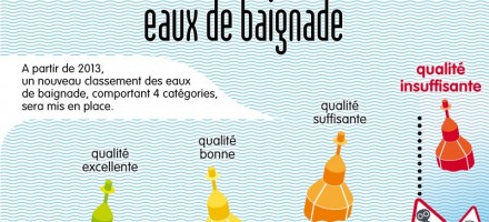 Infographie sur les pollutions aquatiques.