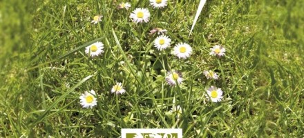 Discover our green spaces