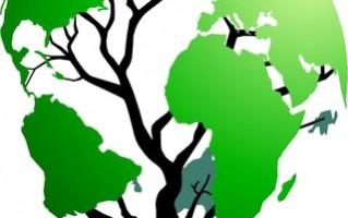Un billet “bazardement” vert